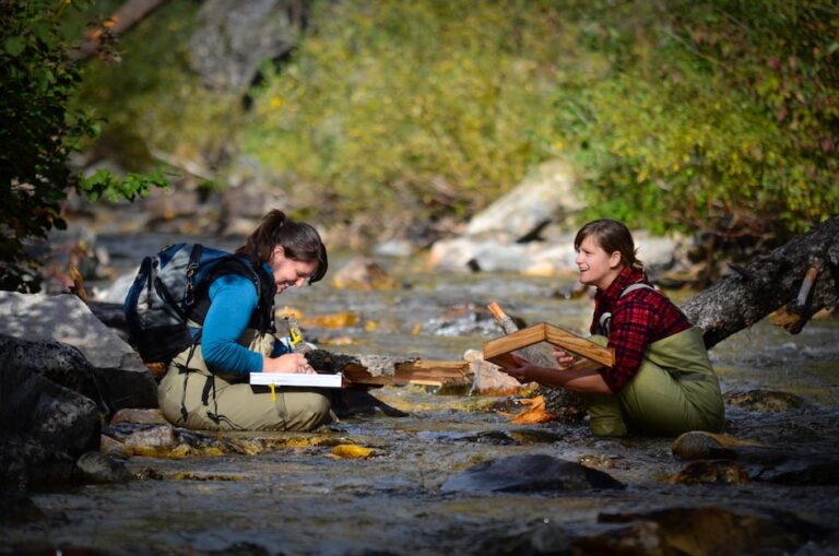 How Will Midas Gold Bring Salmon Home?