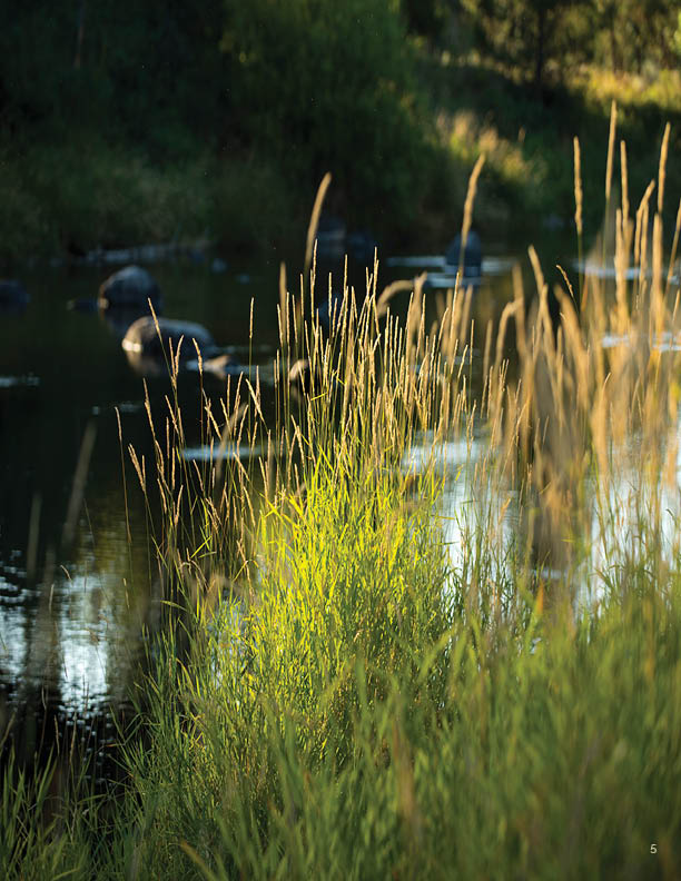 2015 Sustainability Report