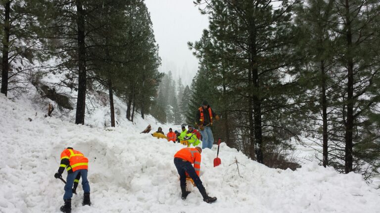 Keeping up with the Snow can be a Fulltime Job at Site