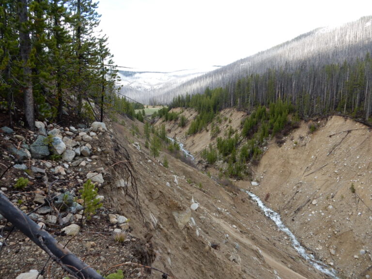 The Problem with Blowout Creek & How We Plan to Fix It