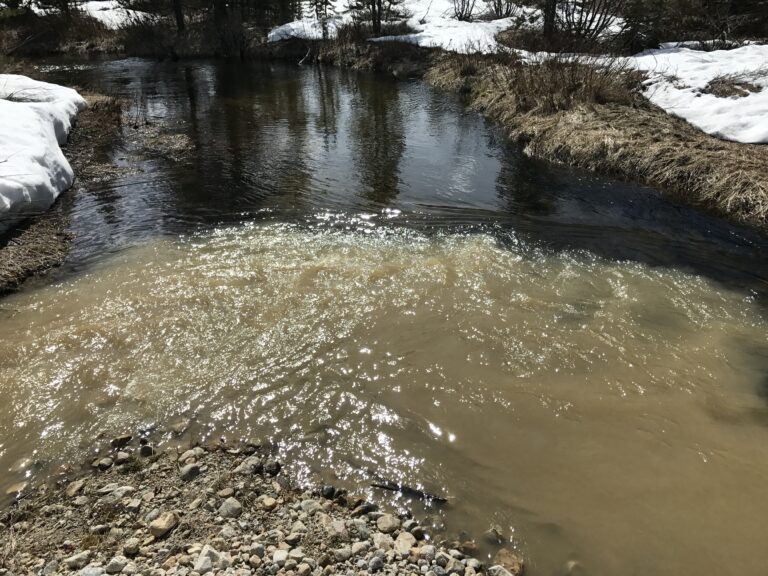 WHY IS SEDIMENT IN THE RIVER A PROBLEM?