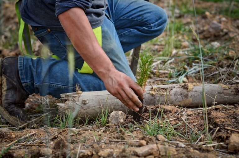 2013 Sustainability Report