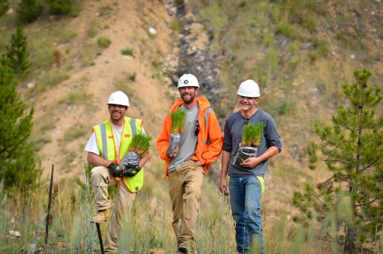 Tree Planting on Site