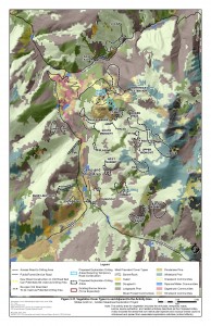 Golden_Meadows_Revised_EA_Vegitation_Cover