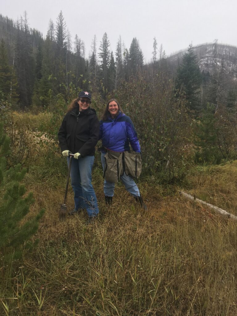 Planting Trees and Building Community