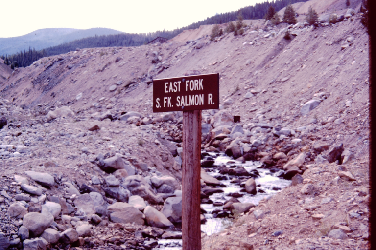 Our Plan to Fix the River
