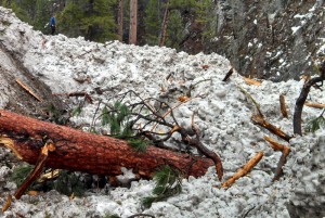 Snow Slides around Yellow Pine Idaho