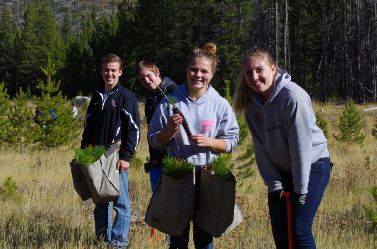 Students Plant Trees and Help Restore the Site