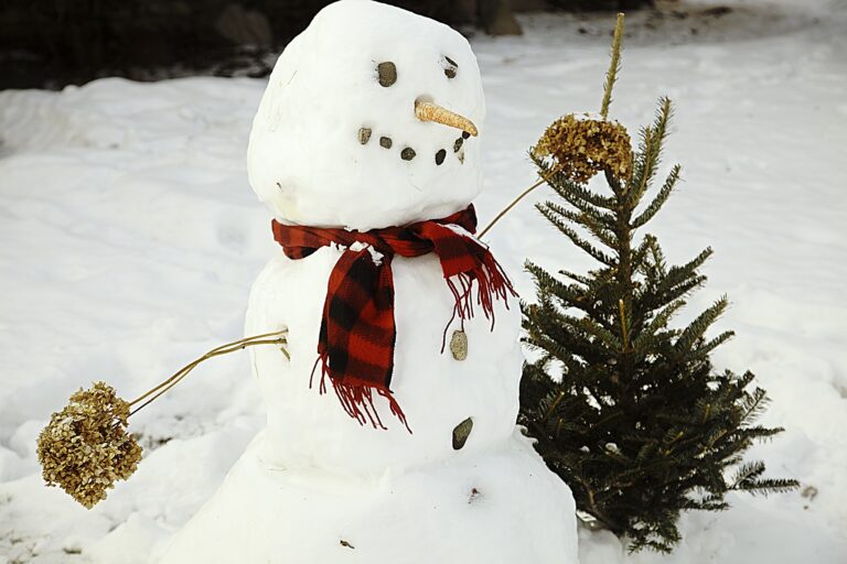 McCall Winter Carnival